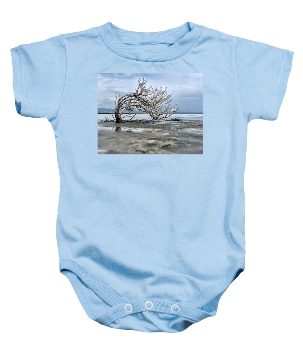 Tree Baby Onesie featuring the photograph A smal giant bush by Mike Santis