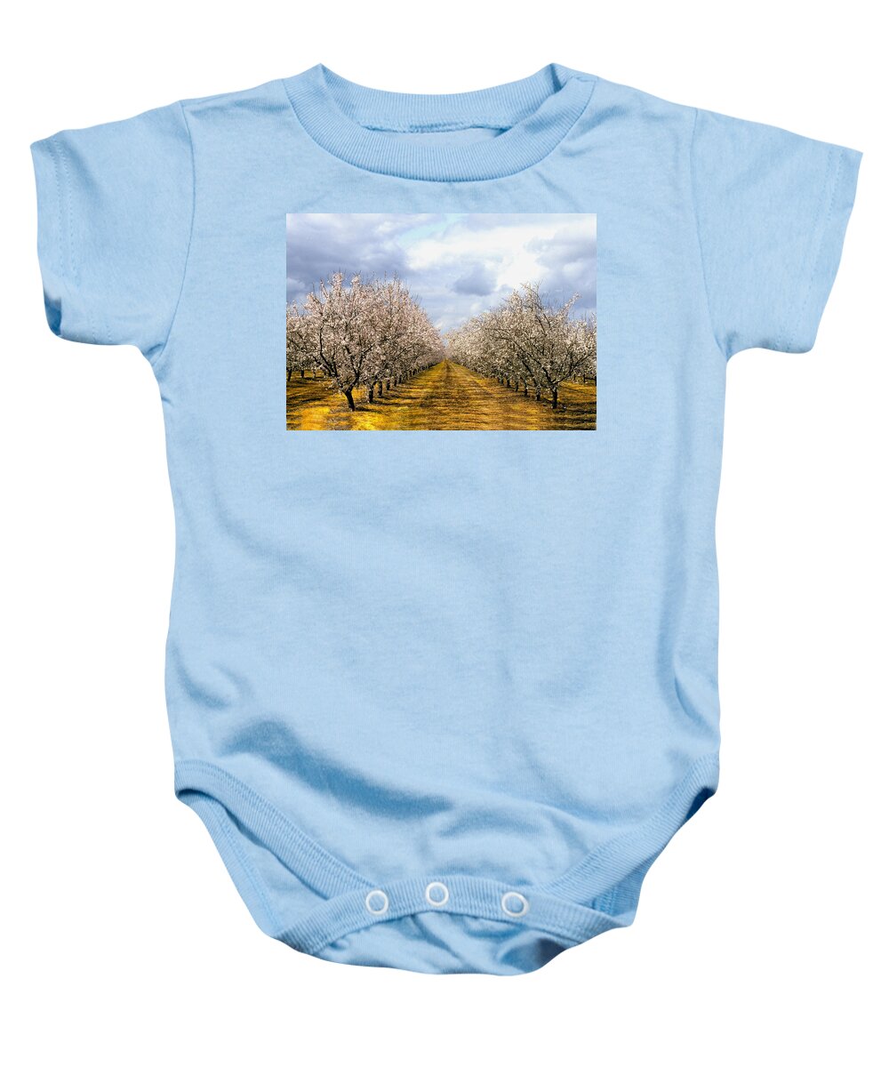 Almonds Baby Onesie featuring the photograph The Almond Orchard by Matthew Pace
