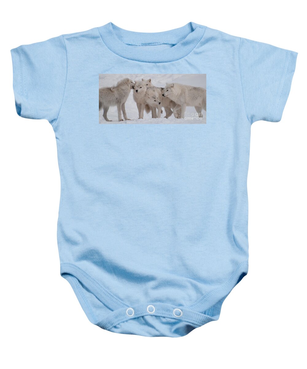 Arctic Wolves Baby Onesie featuring the photograph The Pack by Bianca Nadeau