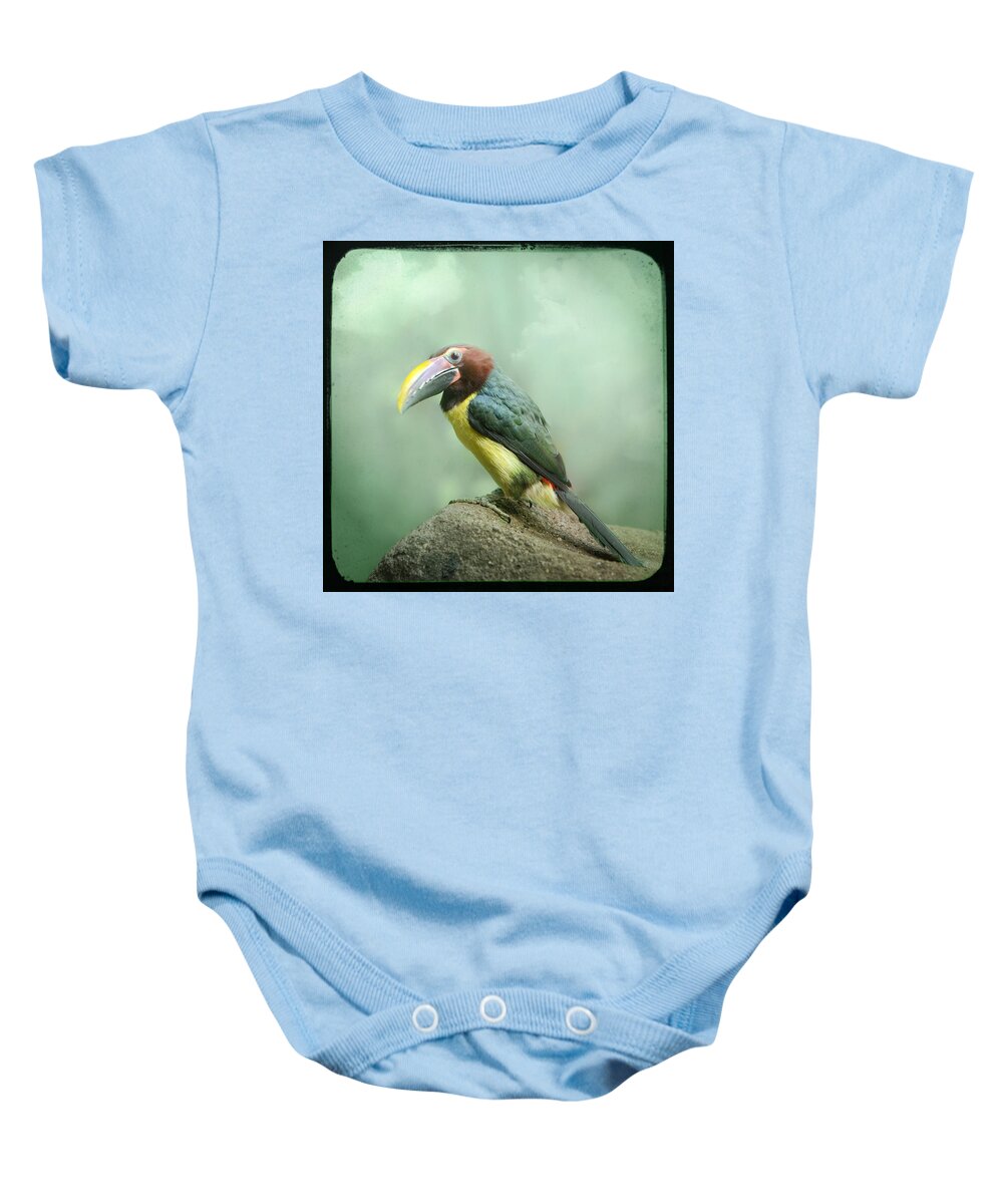 Birds Baby Onesie featuring the photograph Toucan perched on a rock - Exotic Bird by Gary Heller