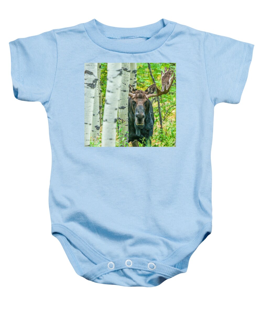 Moose Baby Onesie featuring the photograph Vagabond Saddle by Kevin Dietrich