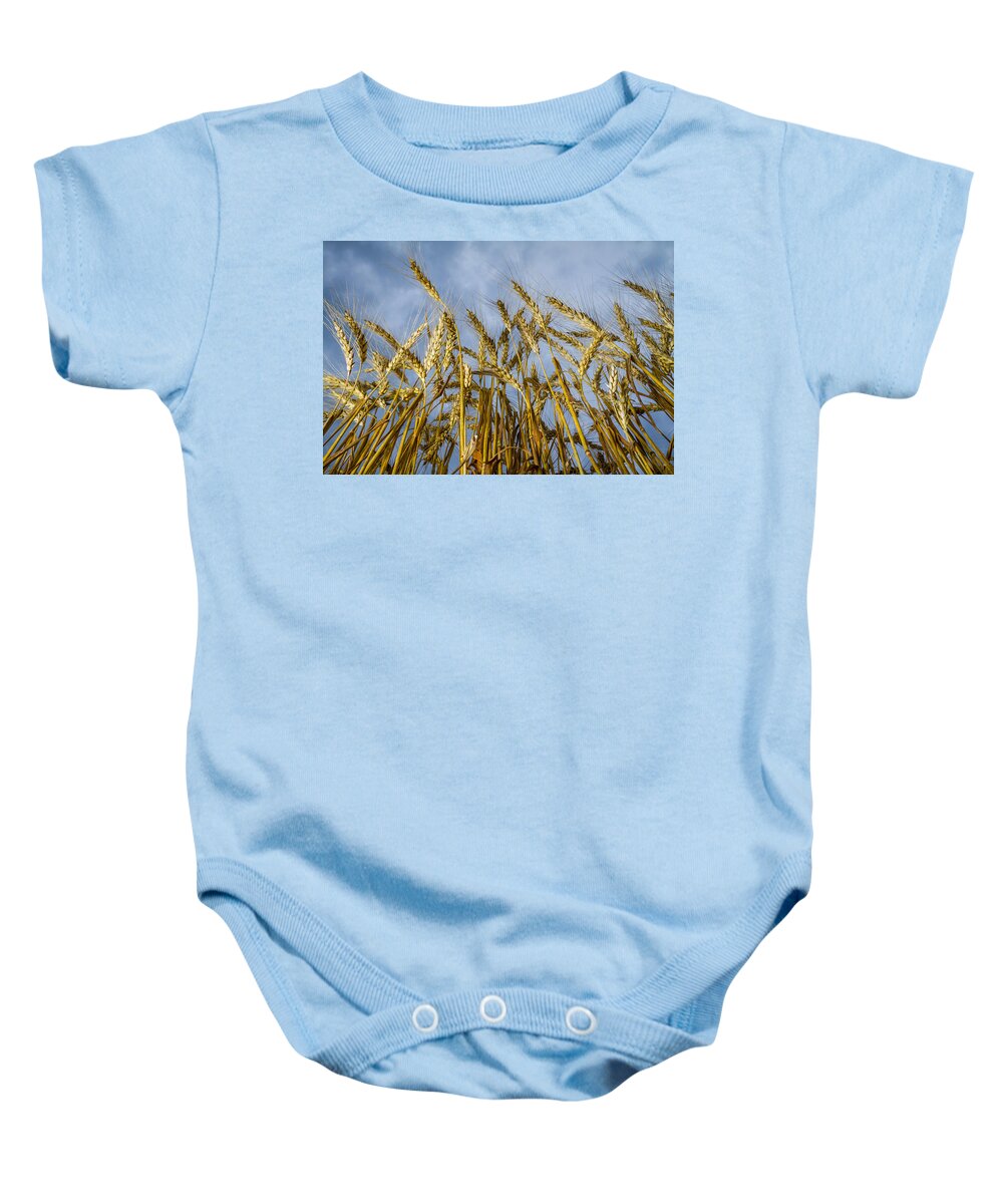Art Baby Onesie featuring the photograph Wheat Standing Tall by Ron Pate