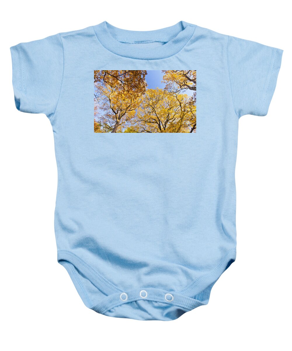 Autumn Baby Onesie featuring the photograph Yellow Trees by Maj Seda