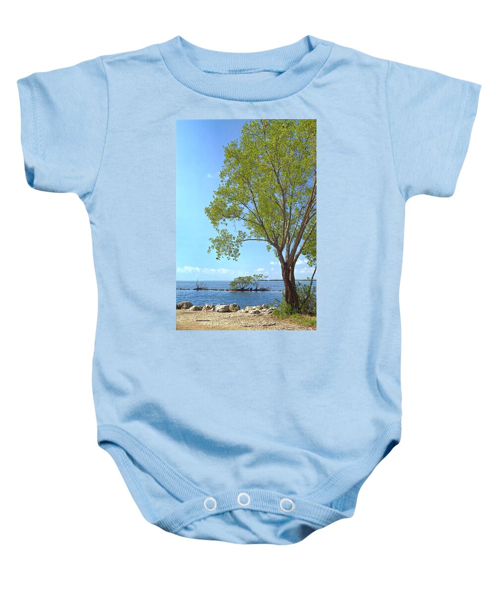 Beautiful Baby Onesie featuring the photograph Biscayne National Park-1 by Rudy Umans