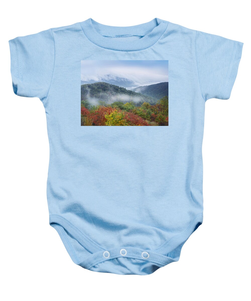 00176906 Baby Onesie featuring the photograph Broadleaf Forest In Fall Colors As Seen #1 by Tim Fitzharris