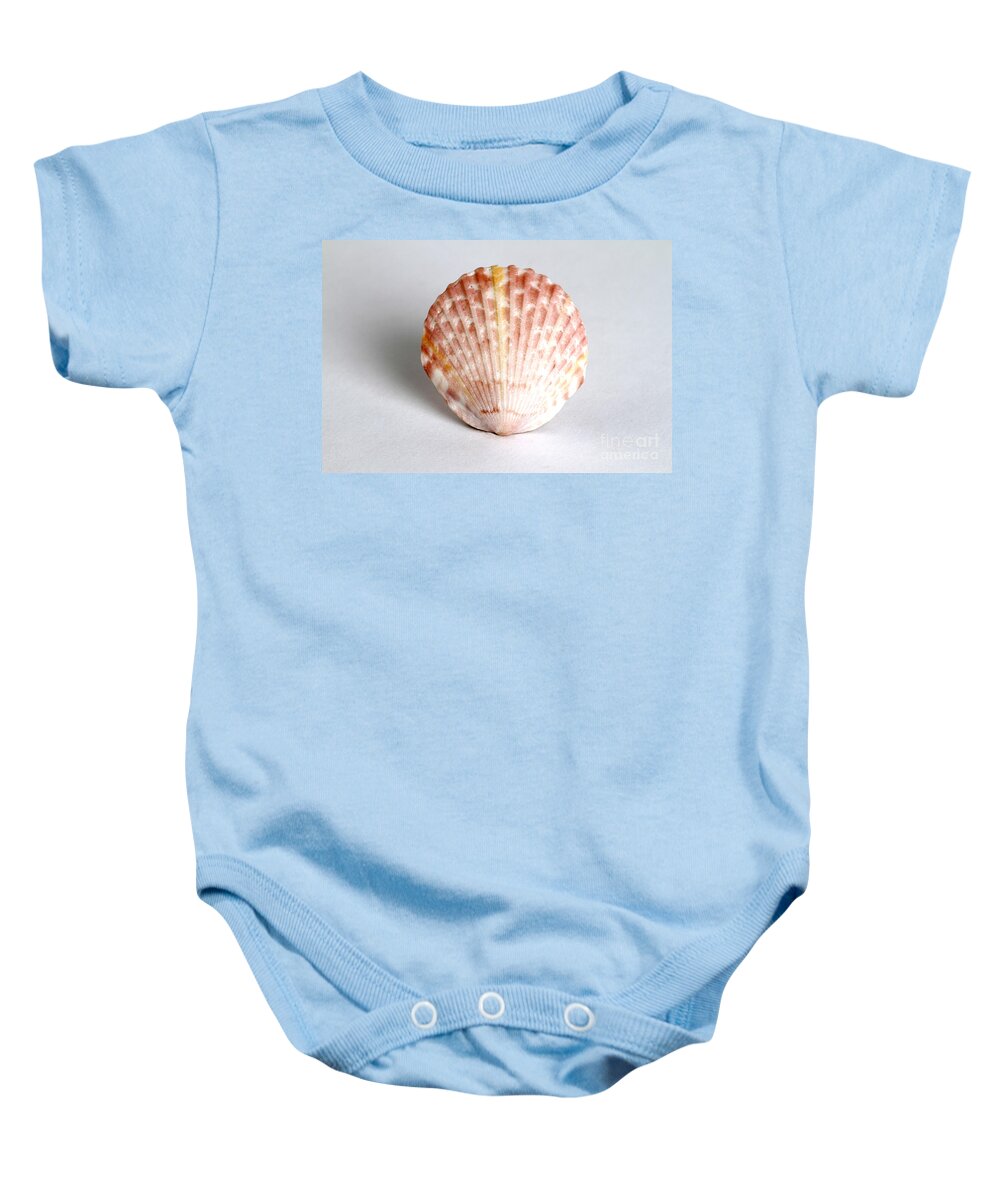 Nature Baby Onesie featuring the photograph Cockle Shell by Photo Researchers