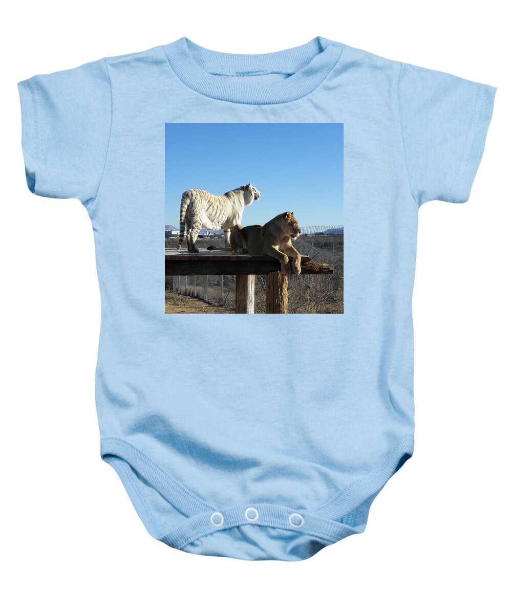 Tiger Baby Onesie featuring the photograph 2 Of The Same But Different by Kim Galluzzo