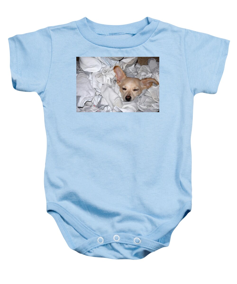 Chuhuahua Baby Onesie featuring the photograph Buddy Socks by Anthony Wilkening