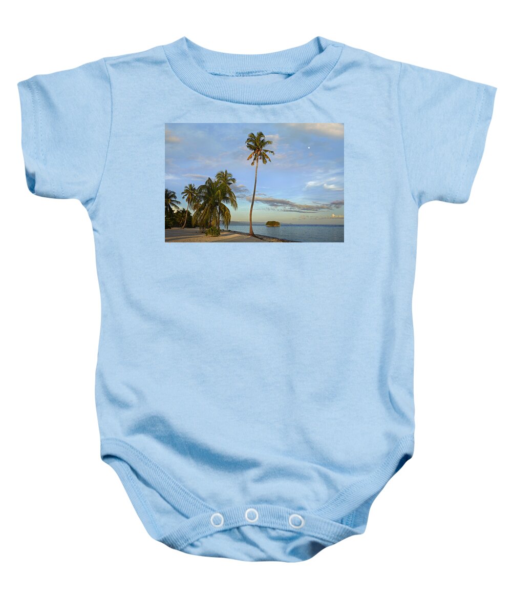 00451415 Baby Onesie featuring the photograph Coconut Palm Trees On Pamilacan Island by Tim Fitzharris