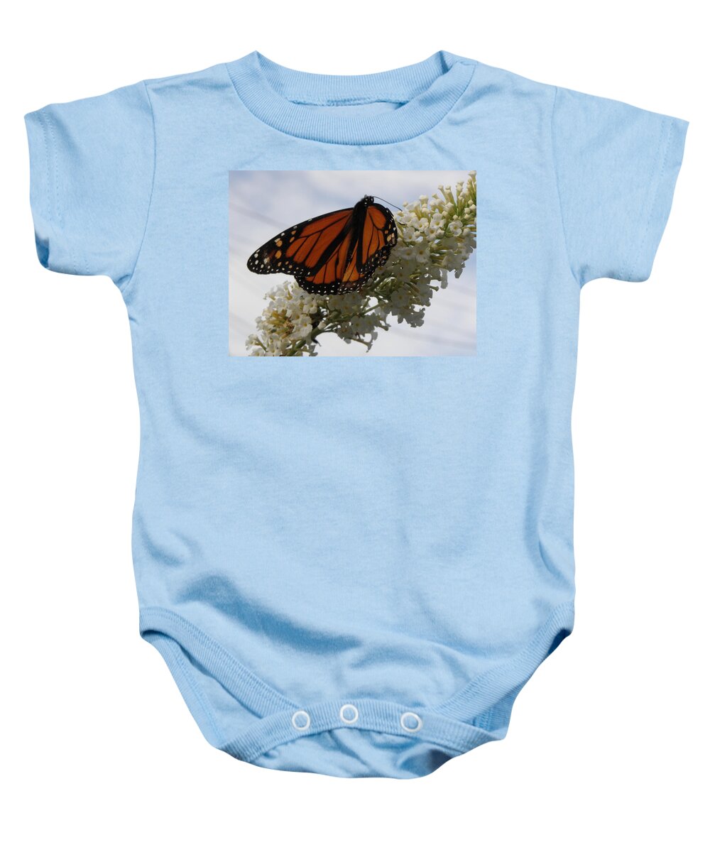 Monarch Baby Onesie featuring the photograph Deep Fiery Orange by Kim Galluzzo