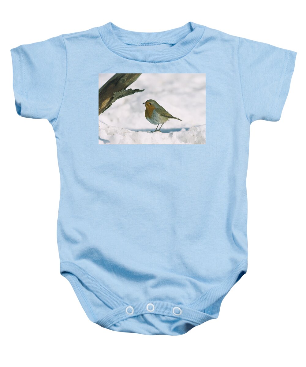 Mp Baby Onesie featuring the photograph European Robin Erithacus Rubecula by Konrad Wothe