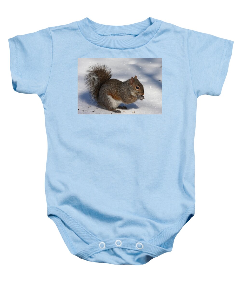 Gray Squirrel Baby Onesie featuring the photograph Gray Squirrel On Snow by Daniel Reed