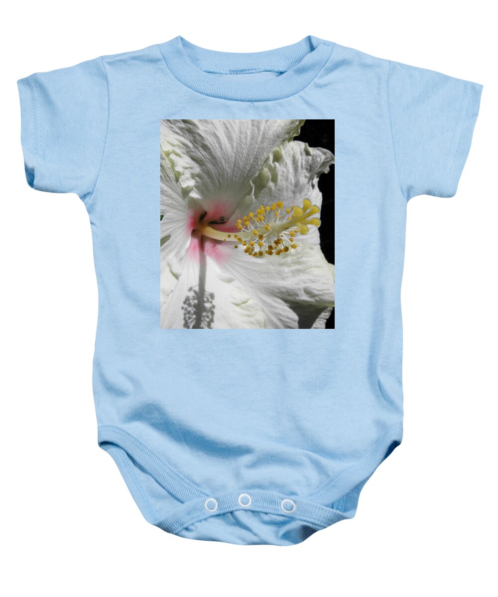 Hibiscus Baby Onesie featuring the photograph Hibiscus creams by Kim Galluzzo