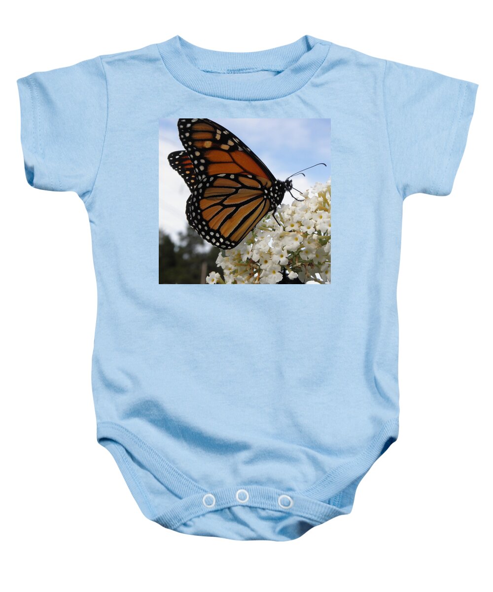 Monarch Baby Onesie featuring the photograph Loving The Nectar by Kim Galluzzo