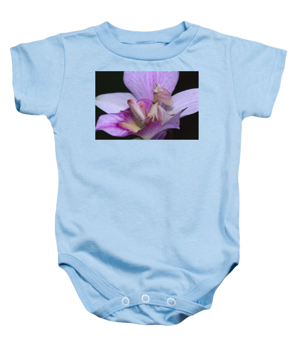 00785436 Baby Onesie featuring the photograph Orchid Mantis in the Pink by Thomas Marent