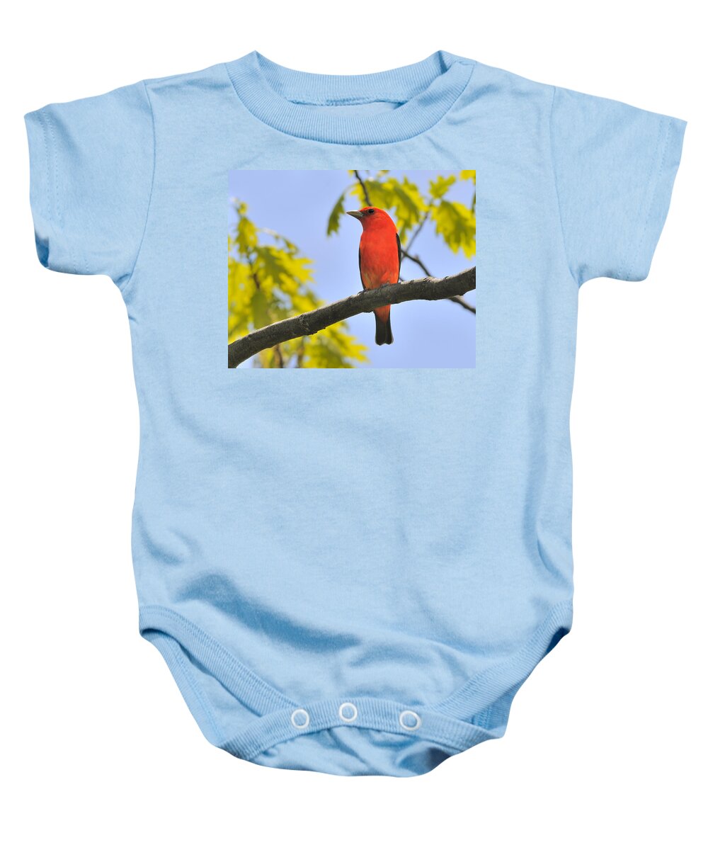 Scarlet Tanager Baby Onesie featuring the photograph Scarlet Tanager by Tony Beck