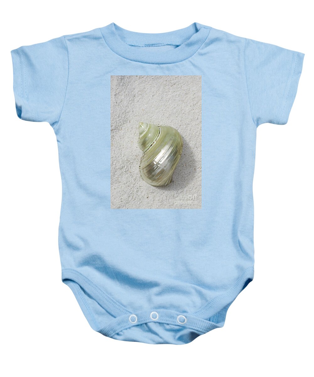 Seashell Baby Onesie featuring the photograph Shimmering Shell Green by Jim And Emily Bush