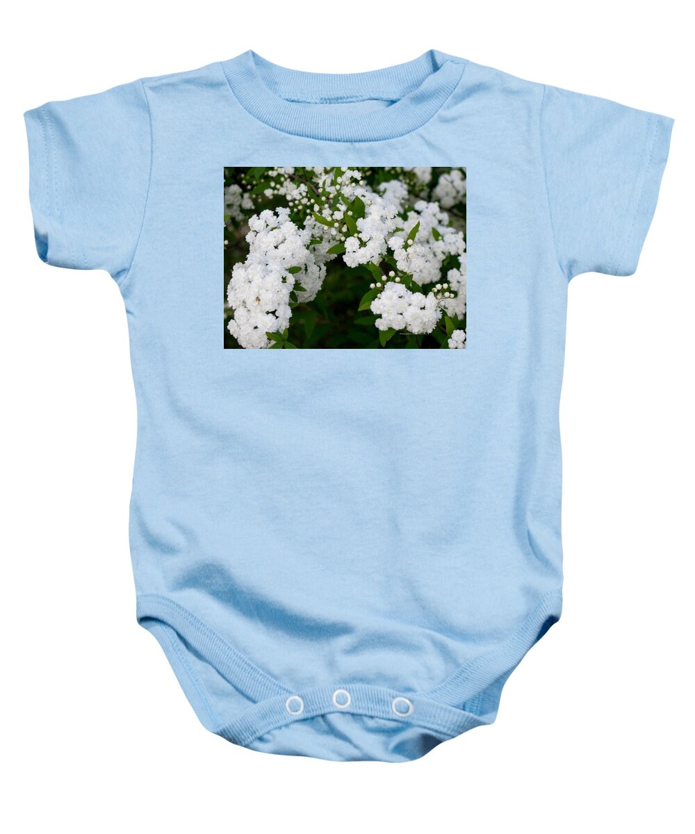 Flowers Baby Onesie featuring the photograph Spirea Blooms by Maria Urso