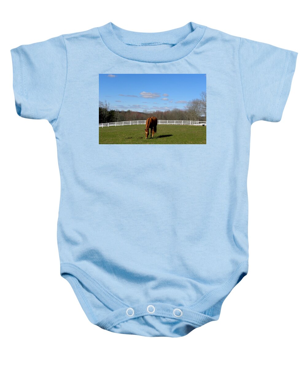 Horse Baby Onesie featuring the photograph Spring day grazer by Kim Galluzzo Wozniak