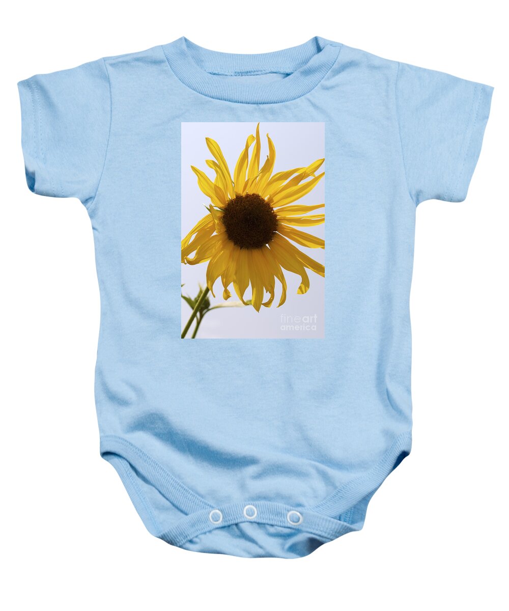 Sunflower Baby Onesie featuring the photograph Sun Kiss by Anjanette Douglas