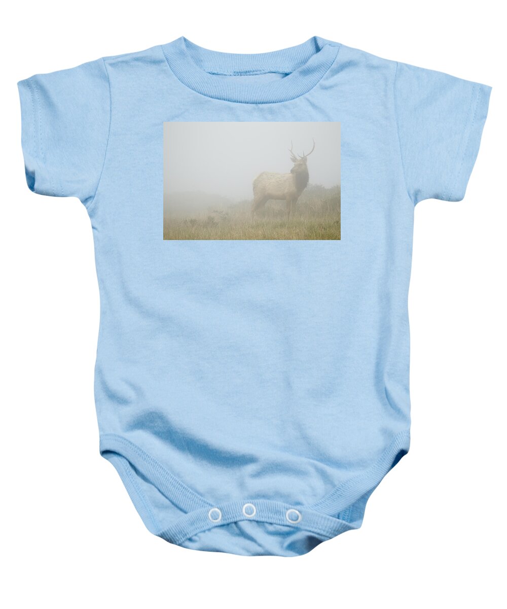 00499829 Baby Onesie featuring the photograph Tule Elk Bull In Fog Point Reyes by Sebastian Kennerknecht