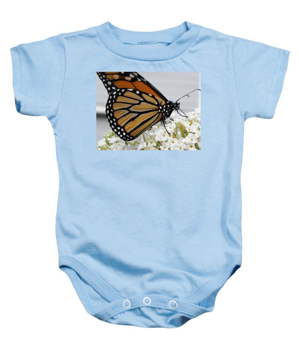 Monarch Baby Onesie featuring the photograph Up Close And Personal by Kim Galluzzo Wozniak
