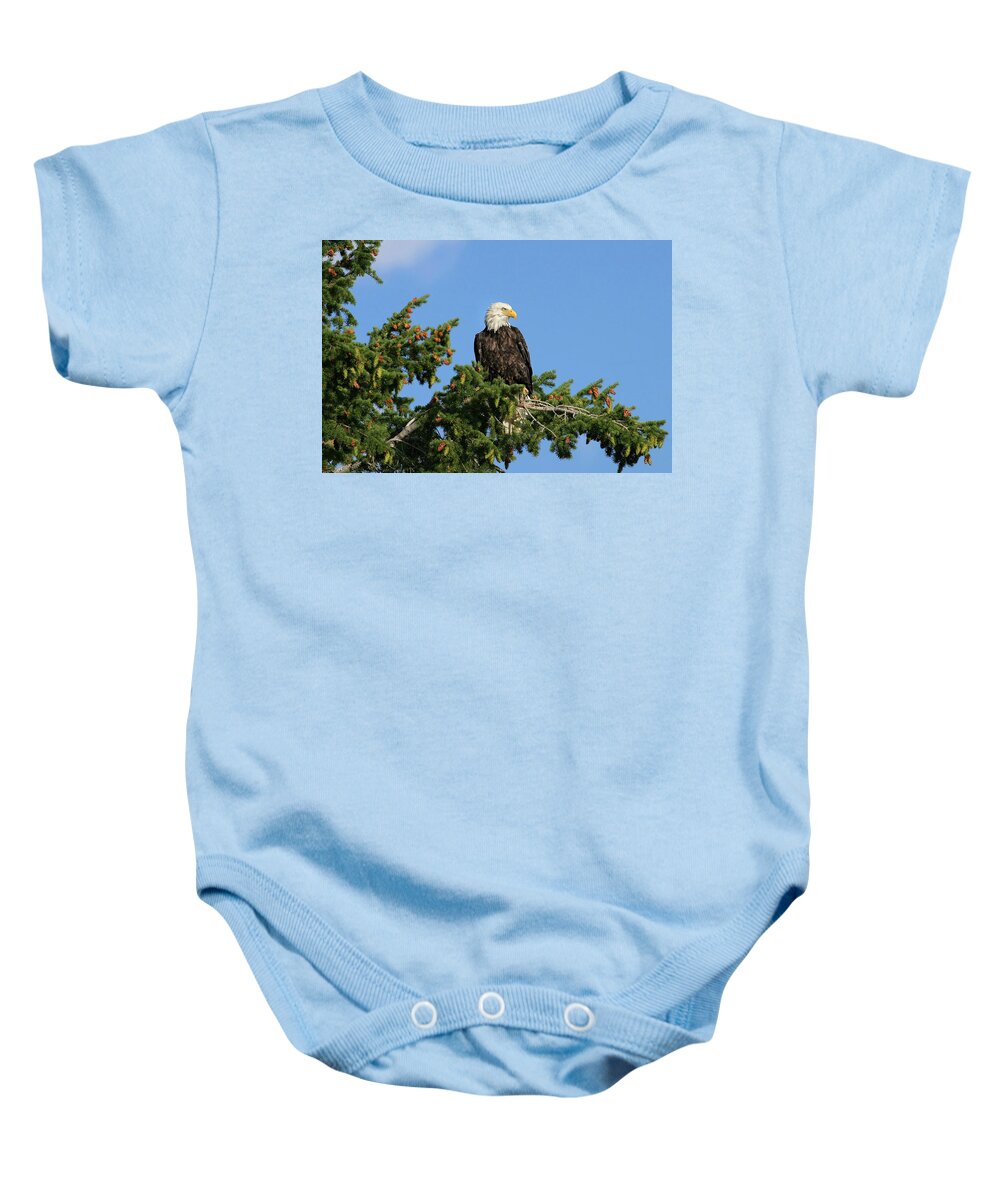 Bald Baby Onesie featuring the photograph Bald Eagle #1 by Ronnie And Frances Howard