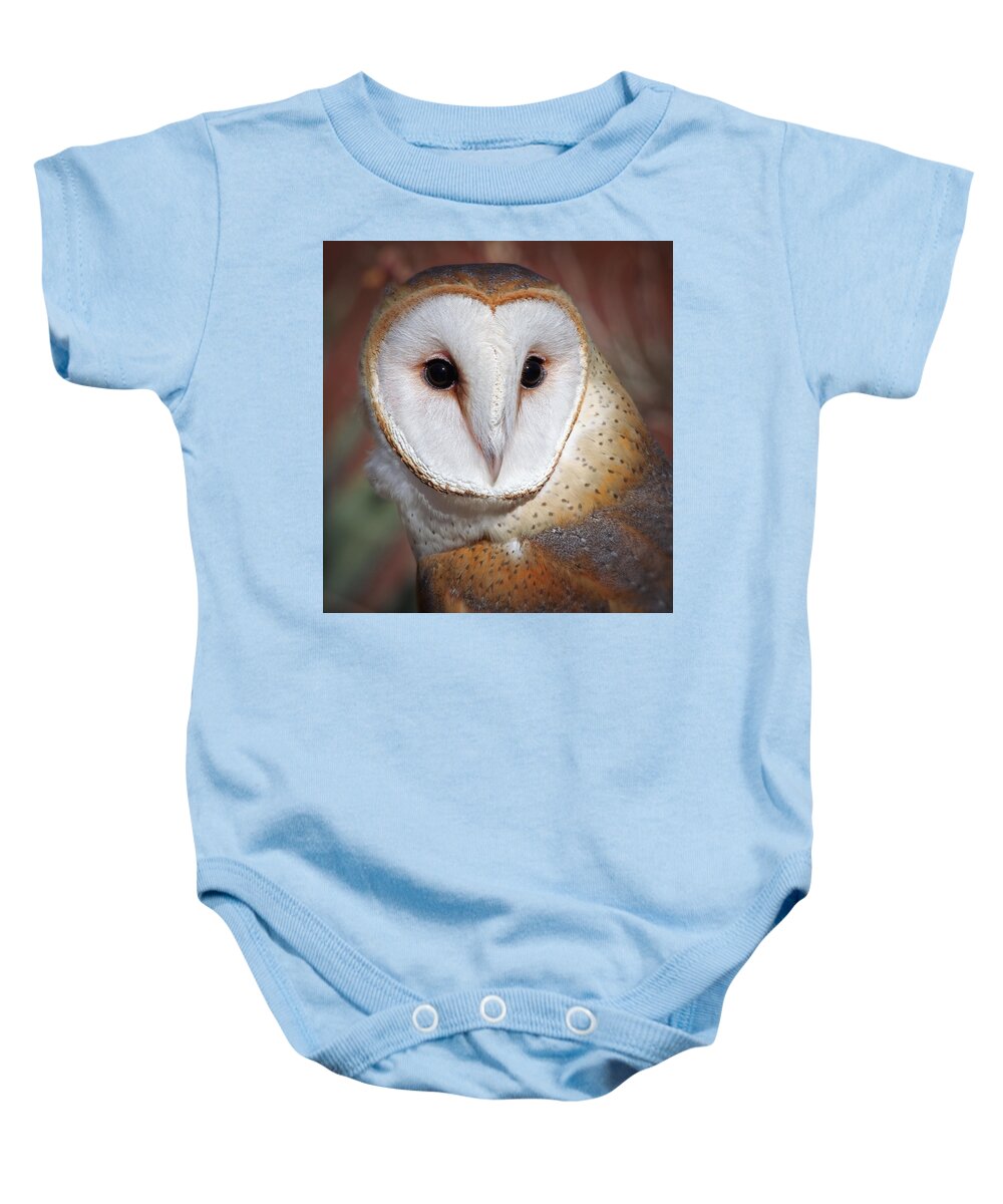 Owls Baby Onesie featuring the photograph Barn Owl #1 by Elaine Malott