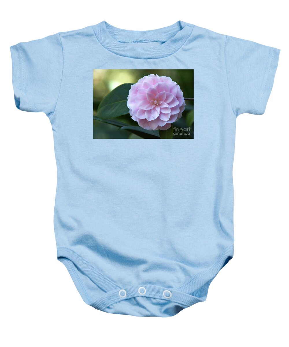 Flower Baby Onesie featuring the photograph Geometry #1 by Dan Holm