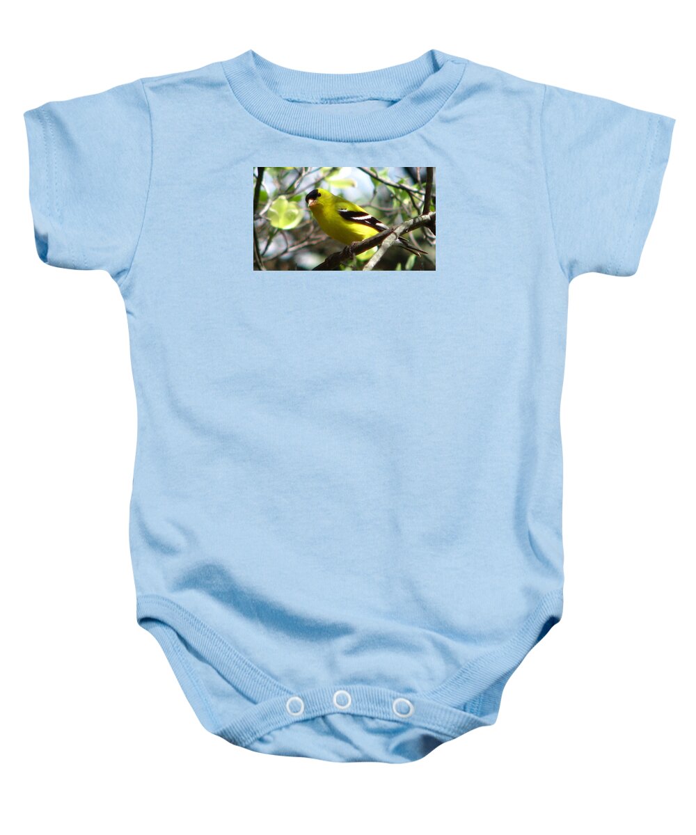 Goldfinch Baby Onesie featuring the photograph Goldfinch Spring #1 by Angela Davies