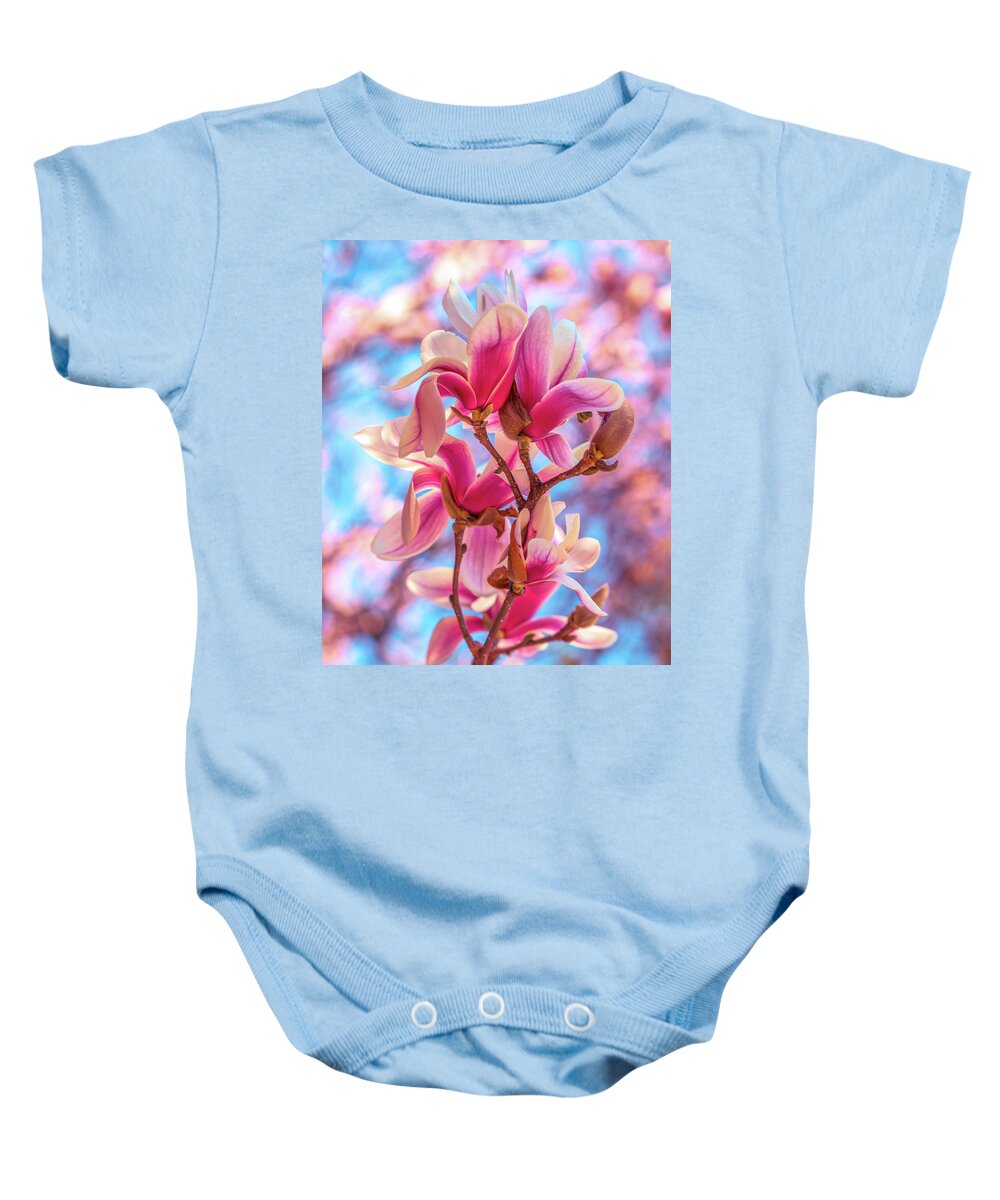 Magnolia Baby Onesie featuring the photograph Magnolia bloom 4 by Lilia S