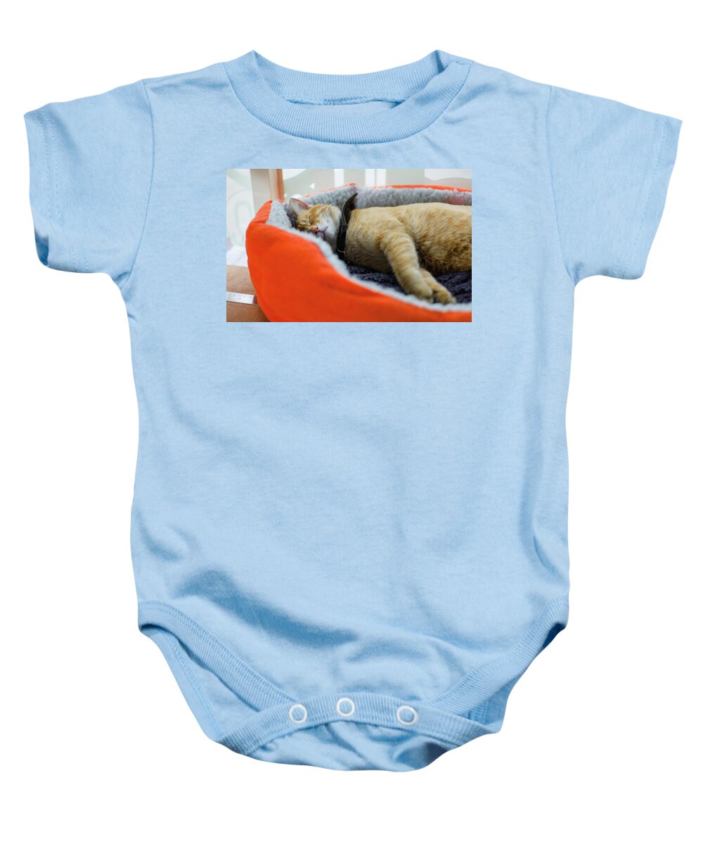 Cat Baby Onesie featuring the digital art Cat #111 by Super Lovely