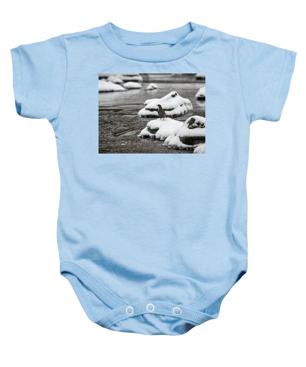 Cinclus Cinclus Baby Onesie featuring the photograph White-throated dipper #13 by Jouko Lehto