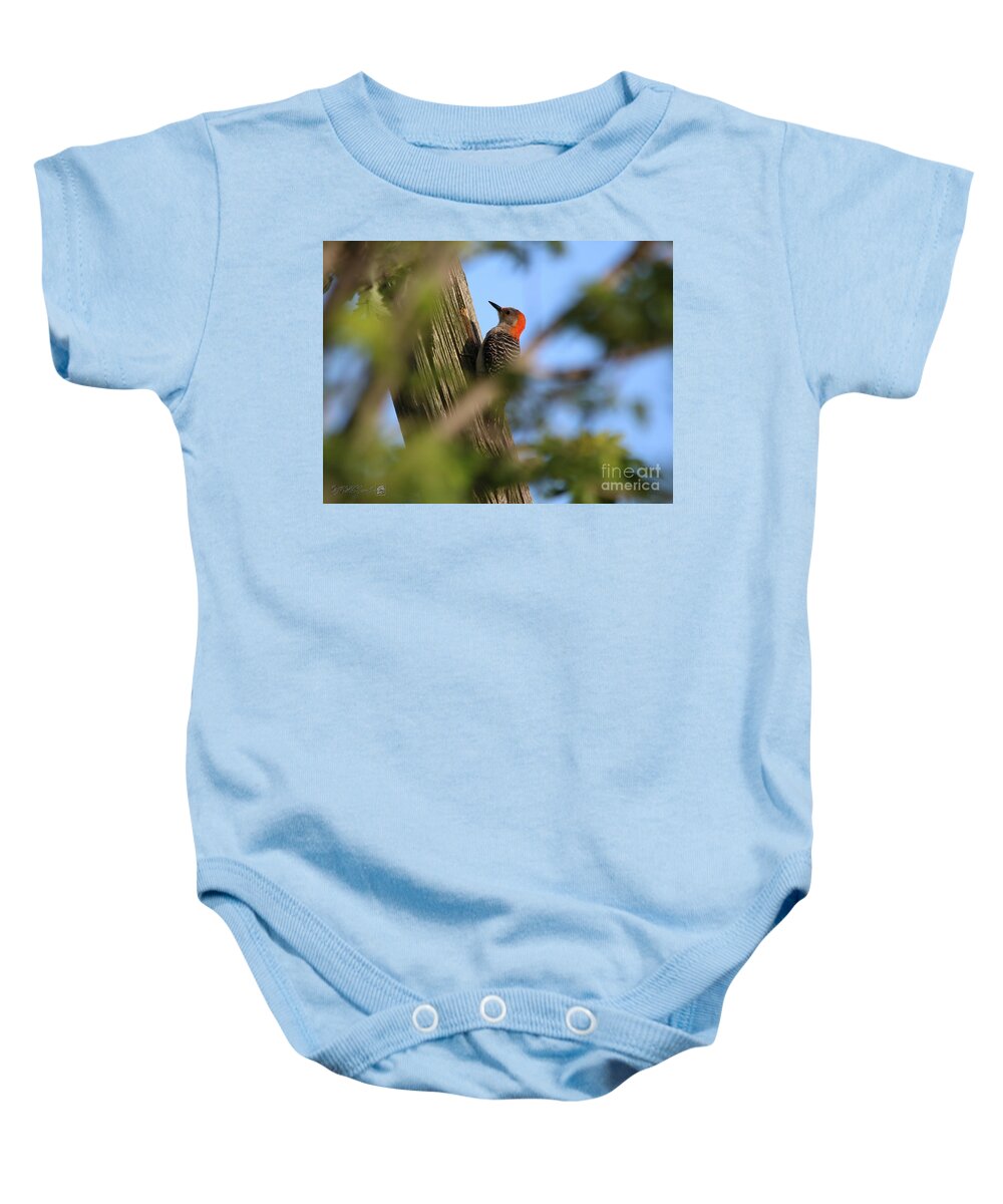 Mccombie Baby Onesie featuring the photograph Female Red-Bellied Woodpecker #3 by J McCombie