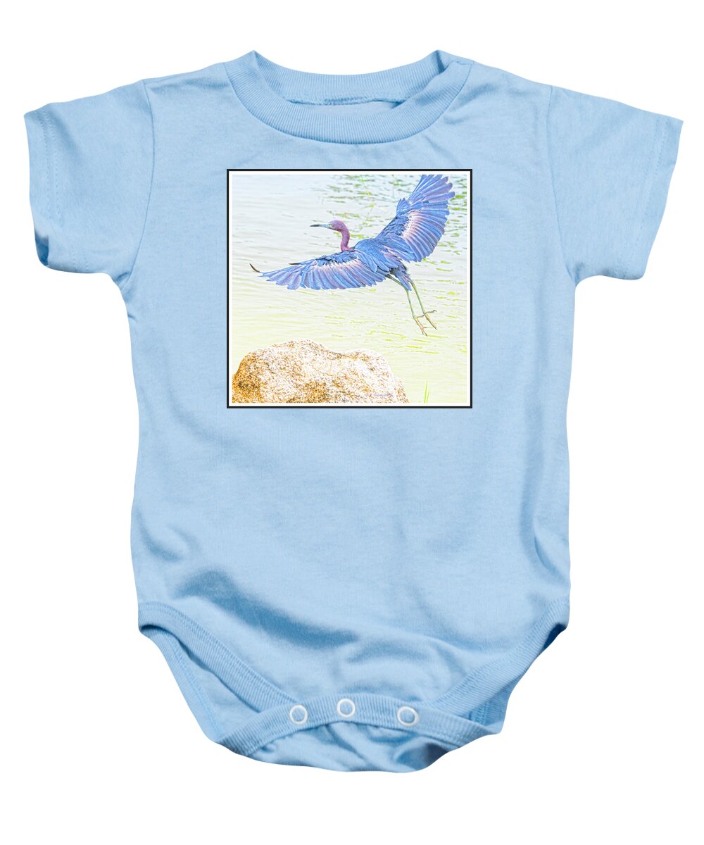 Little Blue Heron Baby Onesie featuring the photograph Little Blue Heron in Flight #4 by A Macarthur Gurmankin