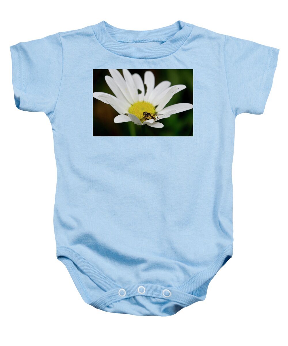 Nature Baby Onesie featuring the photograph A Hoverfly and a Daisy by Elena Perelman