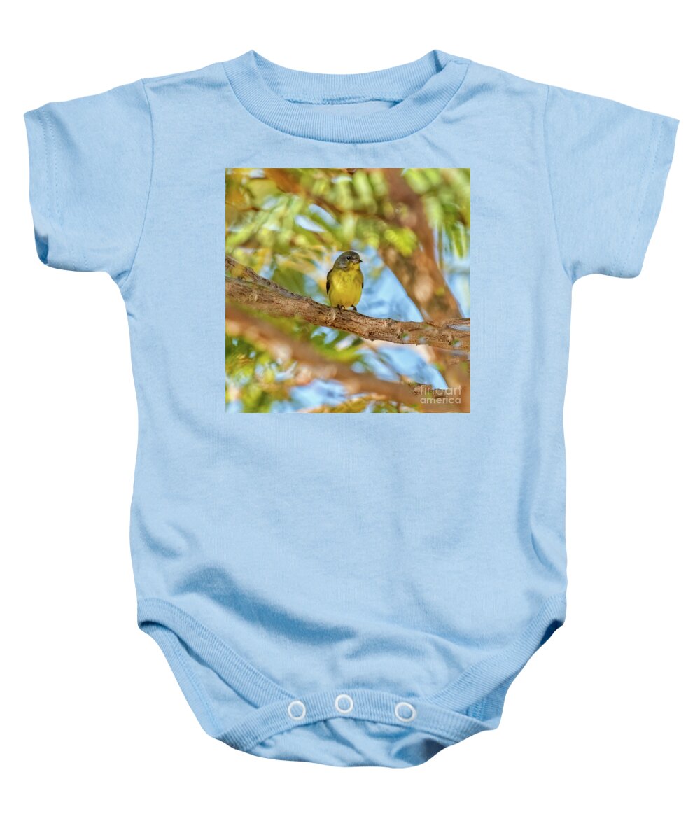  Yellow Baby Onesie featuring the photograph A Resting Lesser Goldfinch by Robert Bales