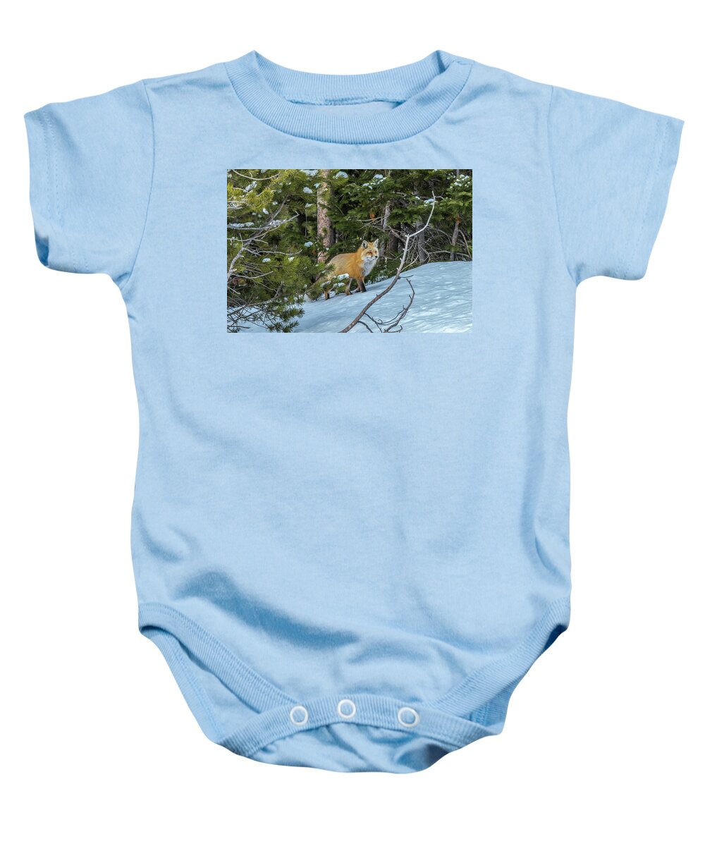 Red Fox Baby Onesie featuring the photograph A Walk In The Park by Yeates Photography