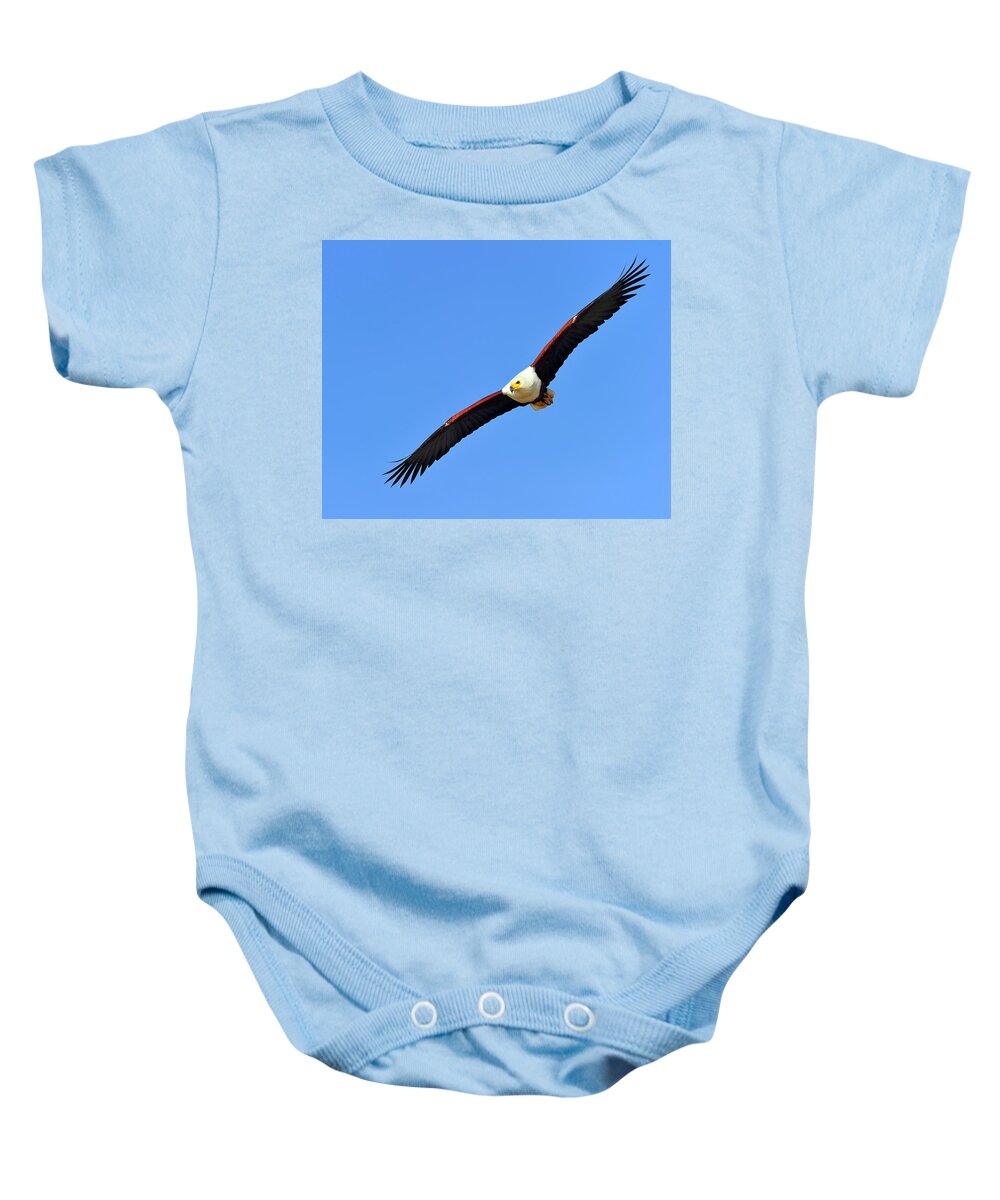 African Fish Eagle Baby Onesie featuring the photograph African Fish Eagle by Tony Beck