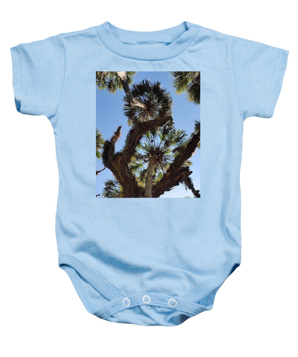 Trees Baby Onesie featuring the photograph An ants eye view by Lindsey Floyd