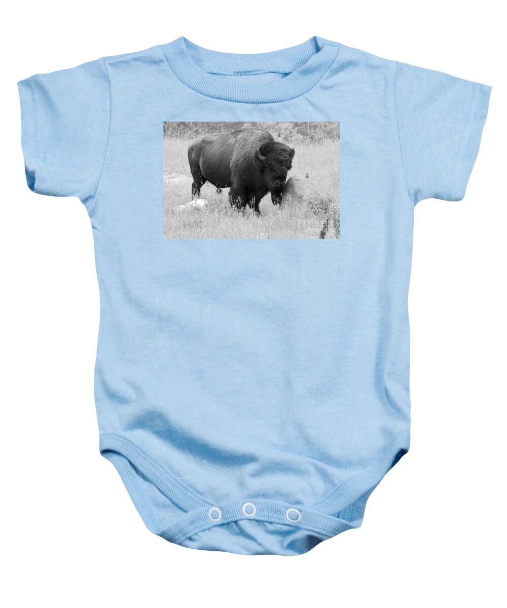 Animal Baby Onesie featuring the photograph Bison and Buffalo by Mary Mikawoz