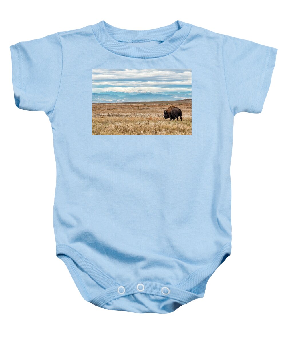 Bison Baby Onesie featuring the photograph Bison Bull in the Shadow of the Rocky Mountains by Tony Hake