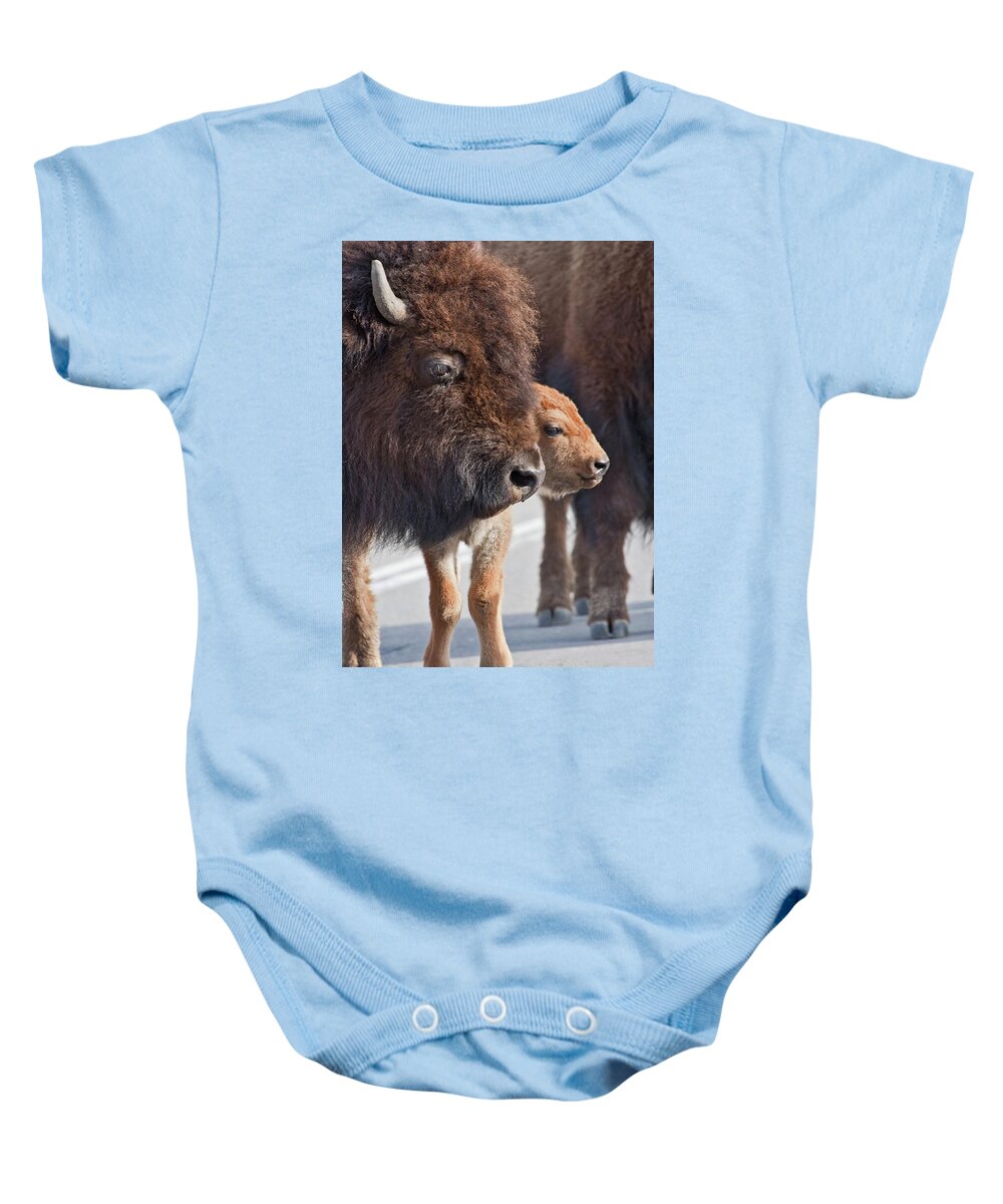 Buffalo Baby Onesie featuring the photograph Bison Family by Wesley Aston