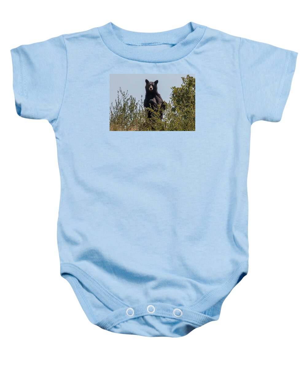 Bear Baby Onesie featuring the photograph Black Bear Stands Tall by Tony Hake