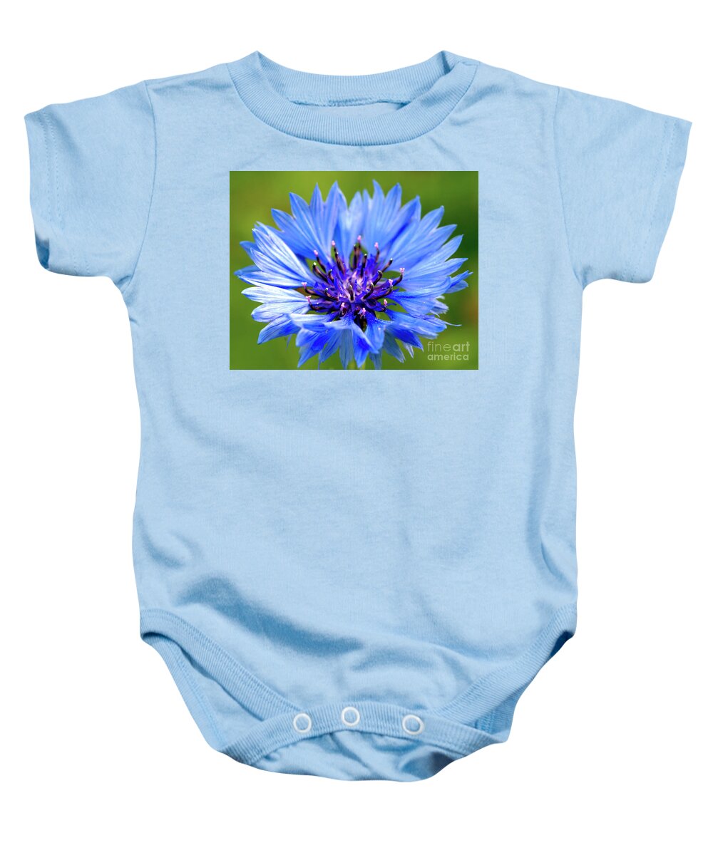 Macro Baby Onesie featuring the photograph Blue Cornflower by Baggieoldboy