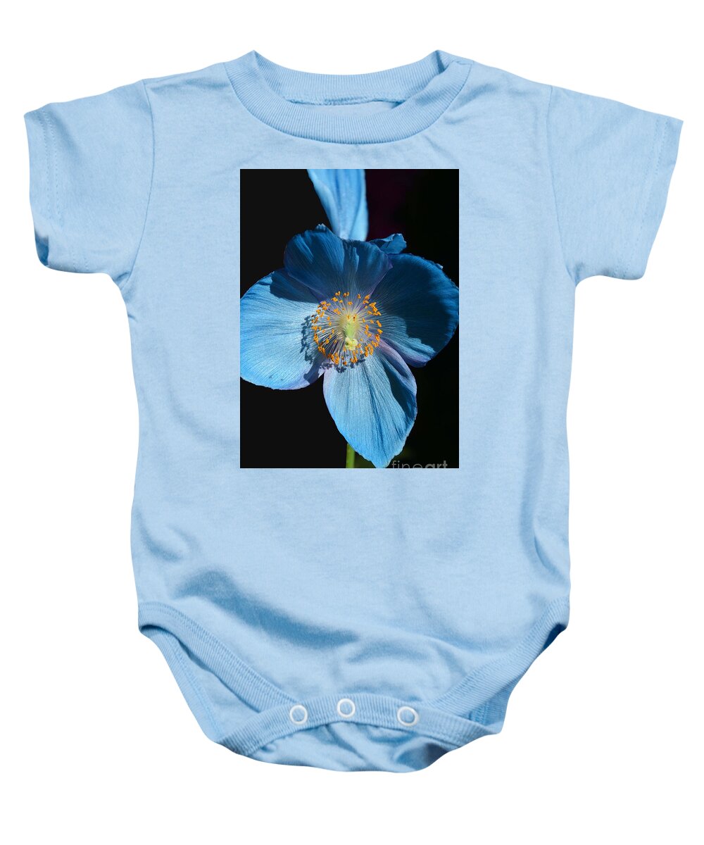 Poppy Baby Onesie featuring the photograph Blue Cross by Cindy Manero