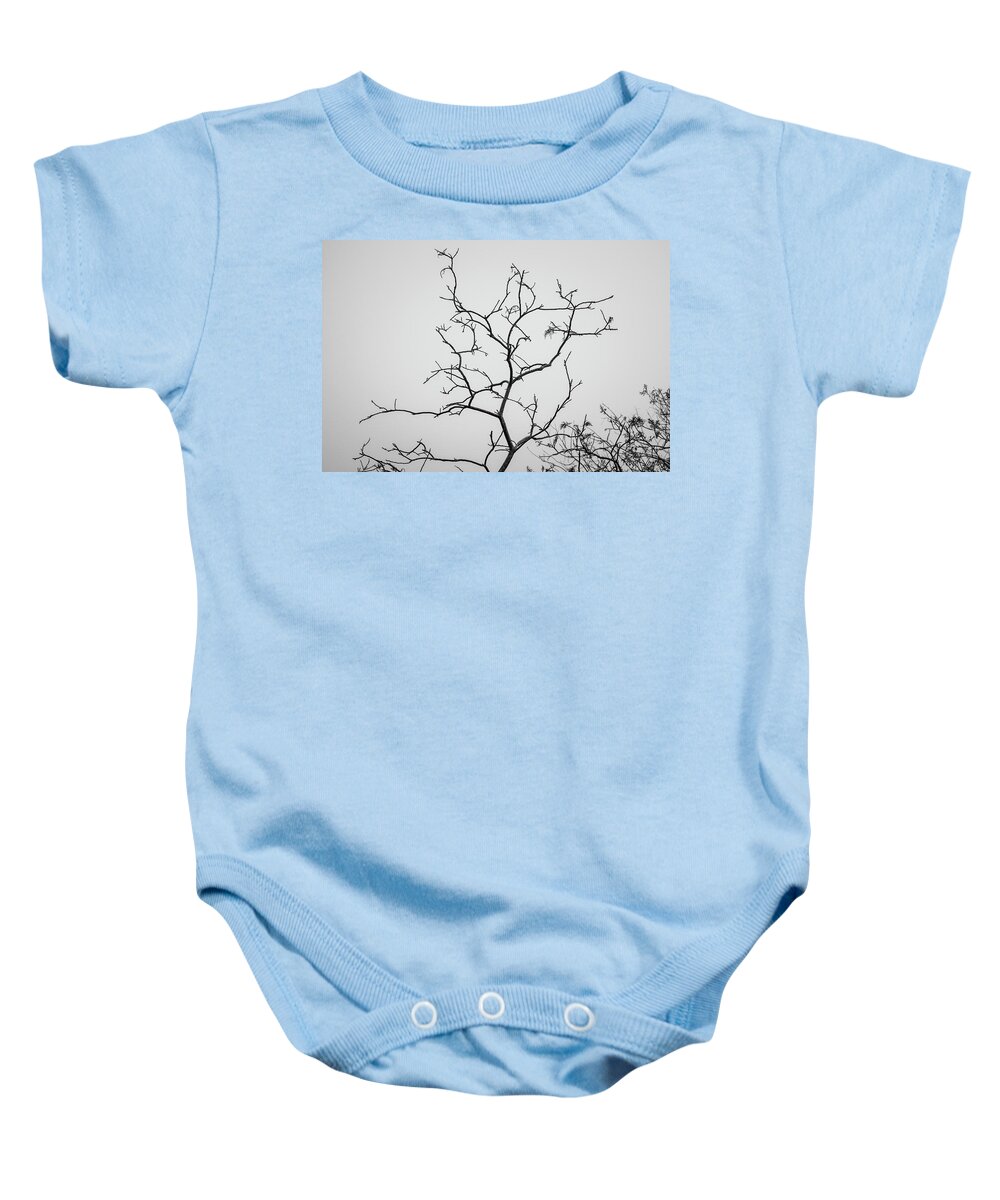 Arbor Baby Onesie featuring the photograph Branching Out I BW by David Gordon