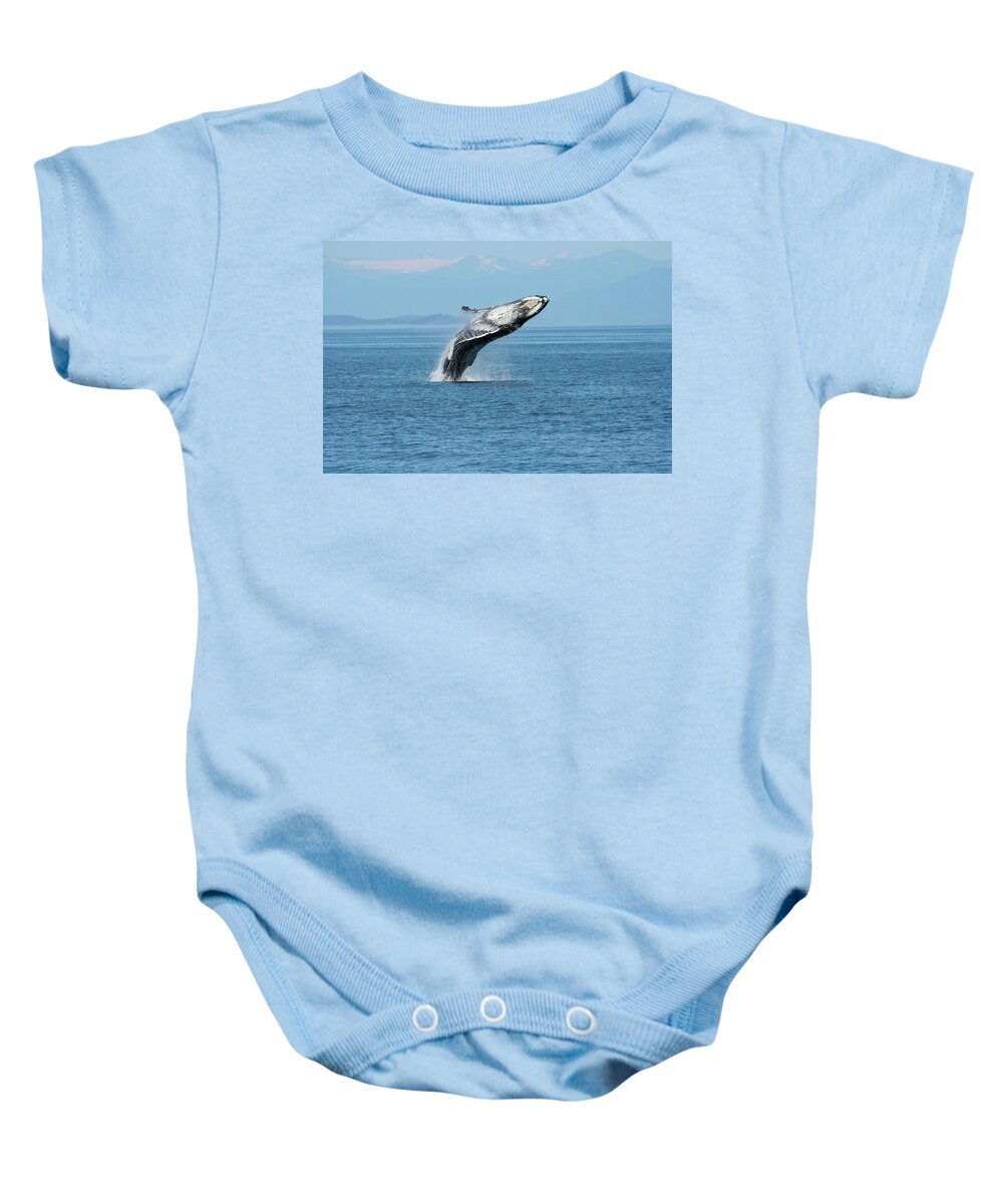 Alaska Baby Onesie featuring the photograph Breaching humpback whales Happy-3 by Steve Darden