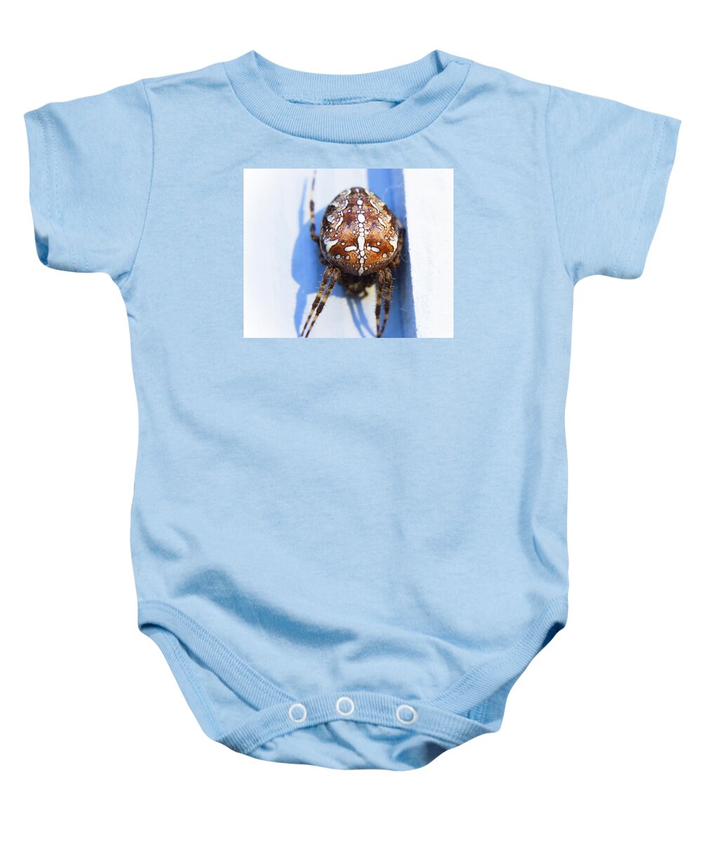 Adria Trail Baby Onesie featuring the photograph Brown Orb Weaver by Adria Trail