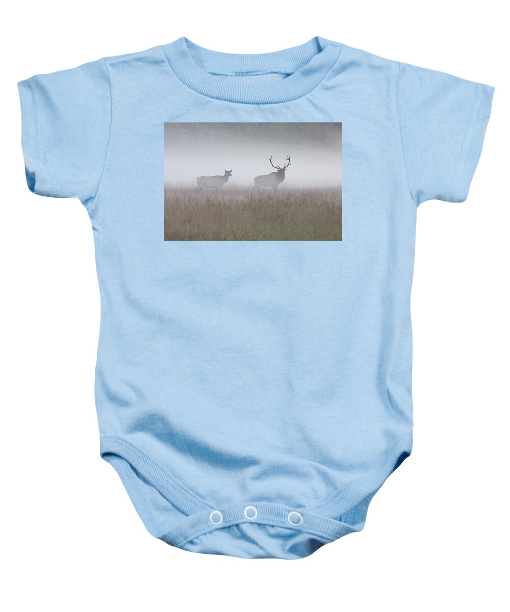 Elk Baby Onesie featuring the photograph Bull and Cow Elk in Fog - September 30 2016 by D K Wall